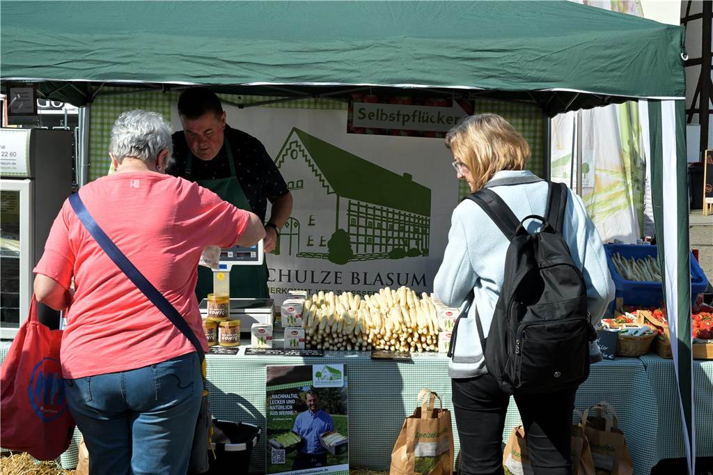 Der Spargelhof Schulze-Blasum aus Stockum ist ein klassischer Direktvermarkter mit Bauernhofläden auf dem Hof direkt und in Herbern. Beim Werner Spargelmarkt war er aber auch mit einem Stand vertreten. 