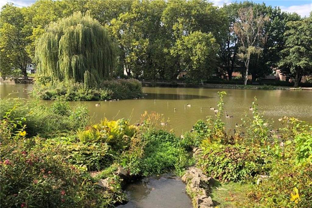 Die Stadt lässt ein Castrop-Rauxeler Juwel verkommen Der Stadtgarten in Castrop-Rauxel. Er könnte schöner sein, wenn das Gänseproblem gelöst wird.