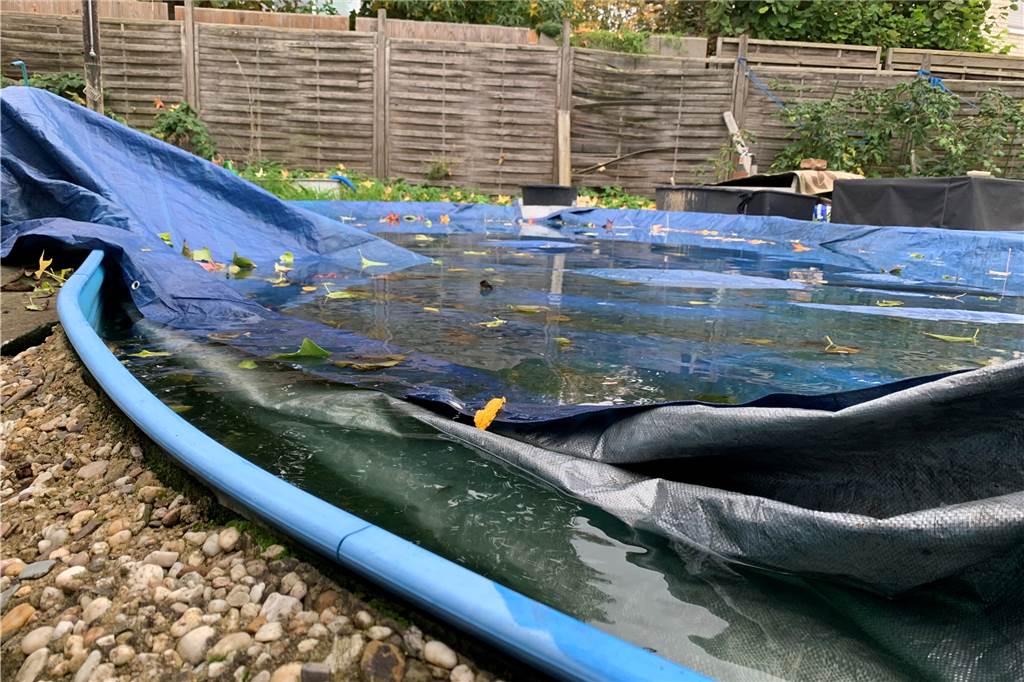 Familie muss Pool zurückbauen: „Das ist Diskriminierung" Der Stahlwandpool ist in ein Erdloch im Garten von Yvonne und Katrin Wältermann eingelassen.