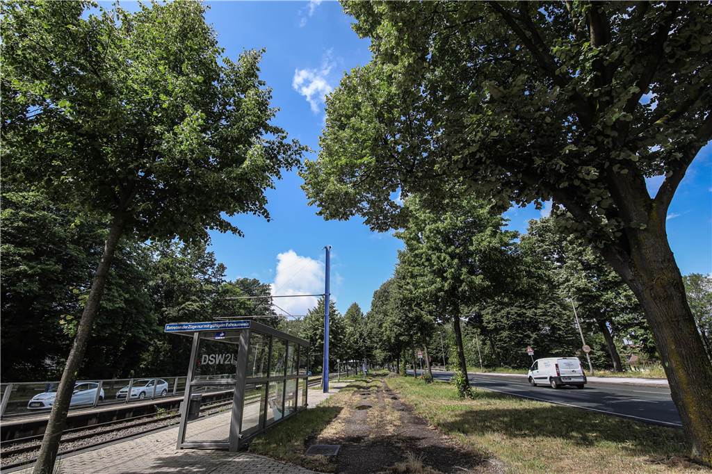Baustart für neue Haltestellen an der B1 verzögert sich erneut um Jahre Der Streit um den Erhalt der B1-Alleebäume ist nur ein Konflikt-Thema beim geplanten Haltestellen-Umbau.