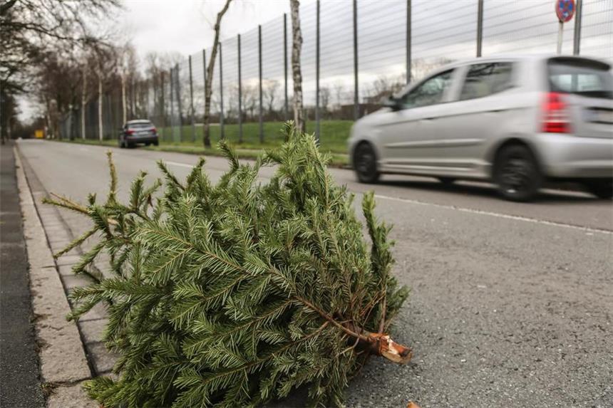 Dortmund kommt gut durch das Sturmtief Der Sturm bläst am Samstag alte Weihnachtsbäume auf die Straßen, hier am Rennweg in Wambel.
