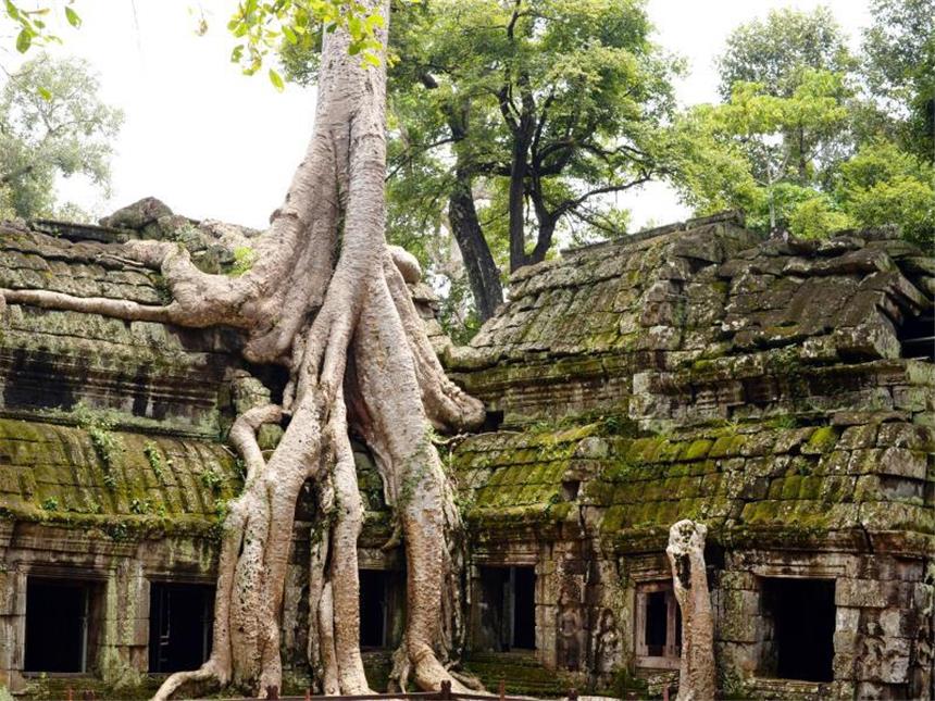Ab sofort: Dresscode für Angkor Wat Der Tempel und Gebäudekomplex Ta Prohm bei Ankor Wat in Siem Reap. Das Land fordert mehr Respekt von Touristinnen. Foto: Jens Kalaene