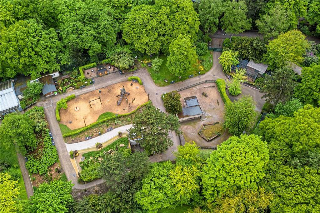 Vom Tierpark Recklinghausen nach Hollywood: Ralf Moeller zeigt Arnie die Esel Eine Luftaufnahme vom Tierpark Recklinghausen.