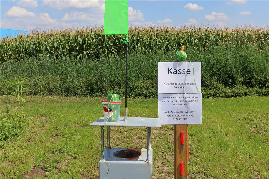 Blumen selbst pflücken gehen - das ist jetzt auch in Werne möglich Der umgebaute, alte Opferstock dient als Kasse und als Ablagestelle für den Blumenstrauß.