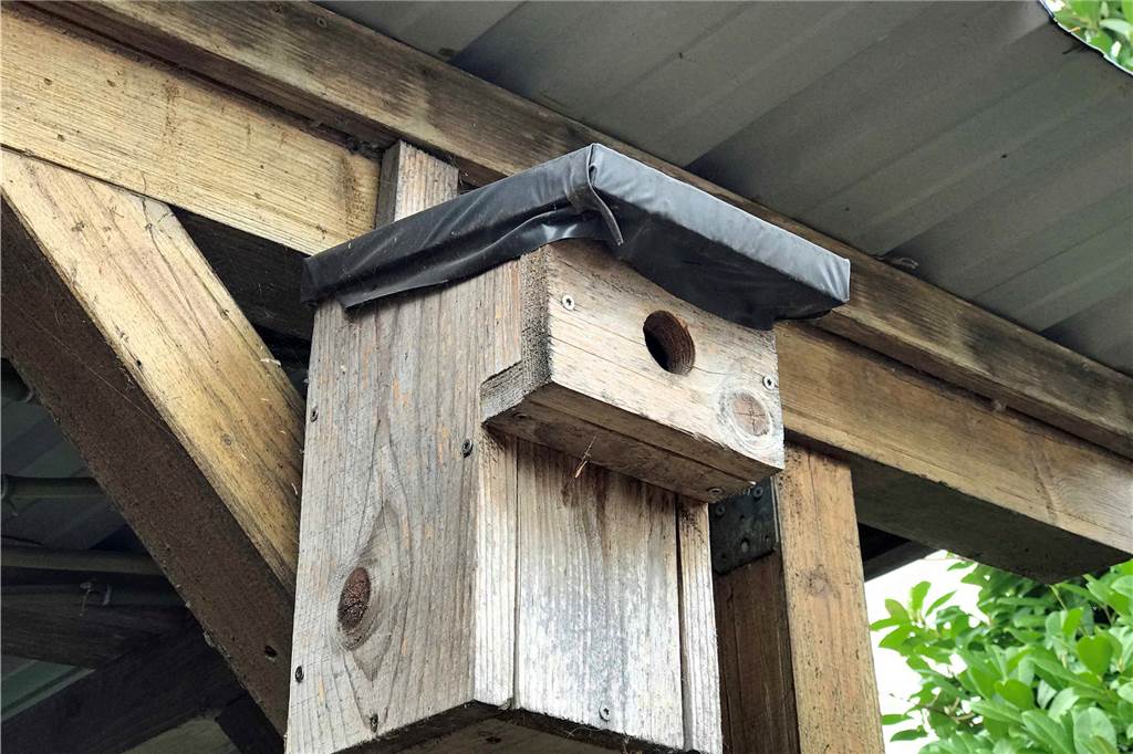 Imkerin Karina Möllers gibt Tipps für einen insektenfreundlichen Garten Der Vogelnistkasten muss einen Übergriffschutz haben, damit Katzen von außen nicht reingreifen und die Eier vom Boden des Häuschens stehlen können.