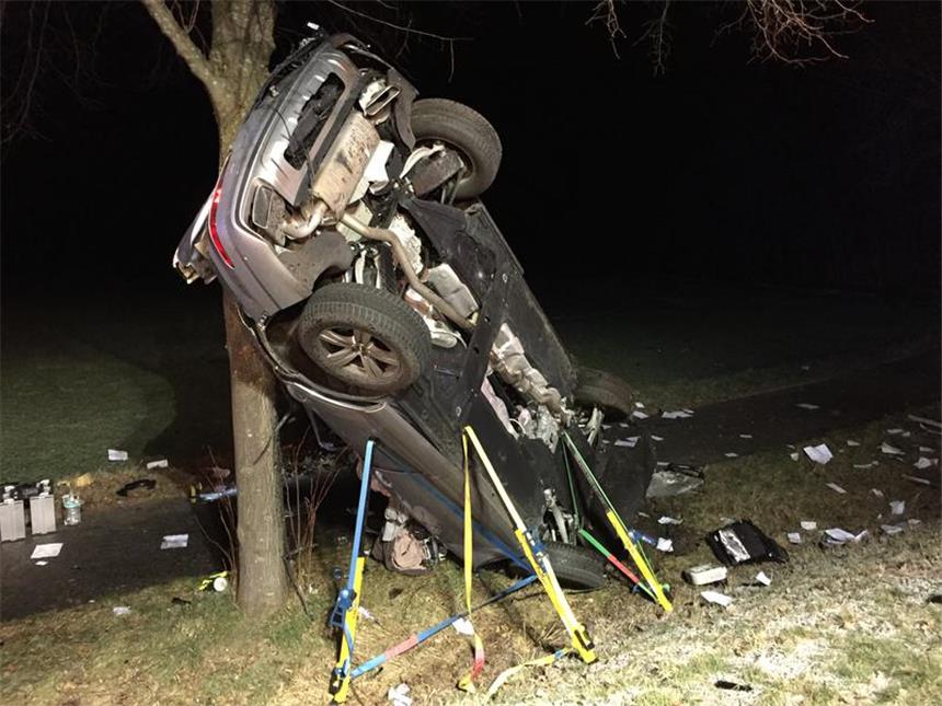 Der Wagen blieb senkrecht am Baum stehen.