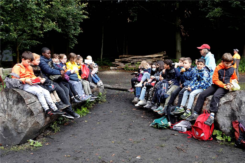 Halterner Schüler in der Haard: „Der Wald ist gut für den Klimaschutz“ Der Wald bietet auch viele Möglichkeiten für eine Rast, stellten die Kinder fest.