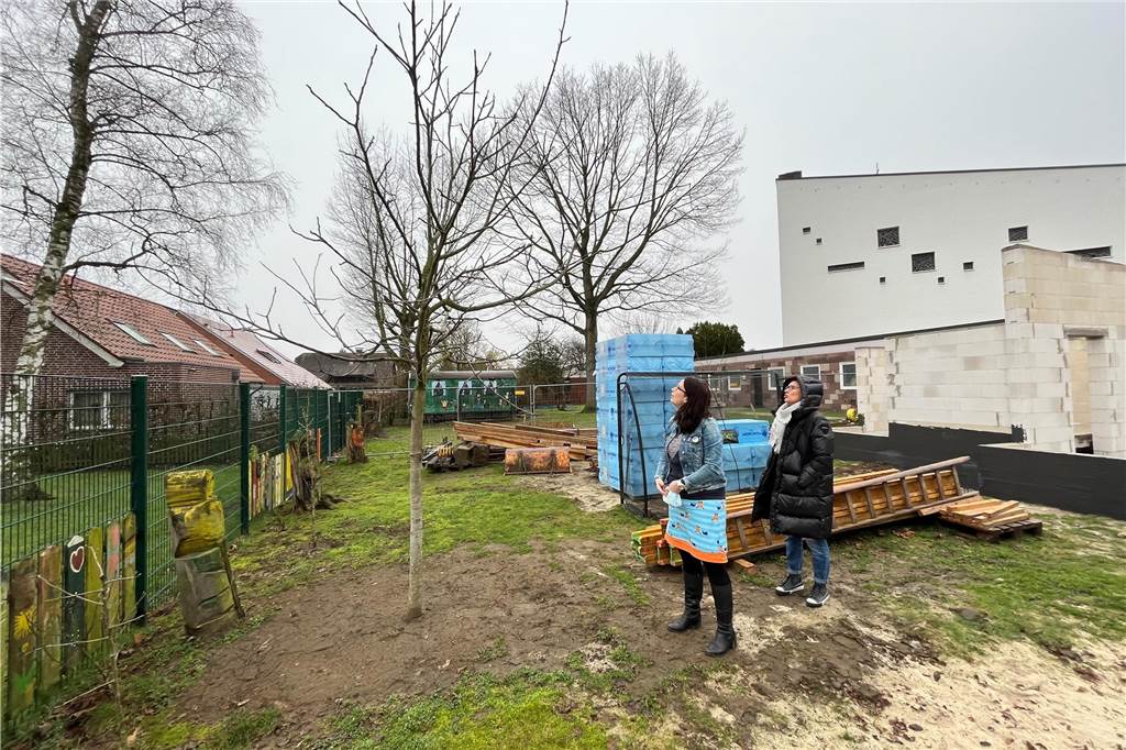Marien-Kindergarten: Fünfte Gruppe bekommt eine dauerhafte Bleibe Walnussbaum auf Kindergartengelände
