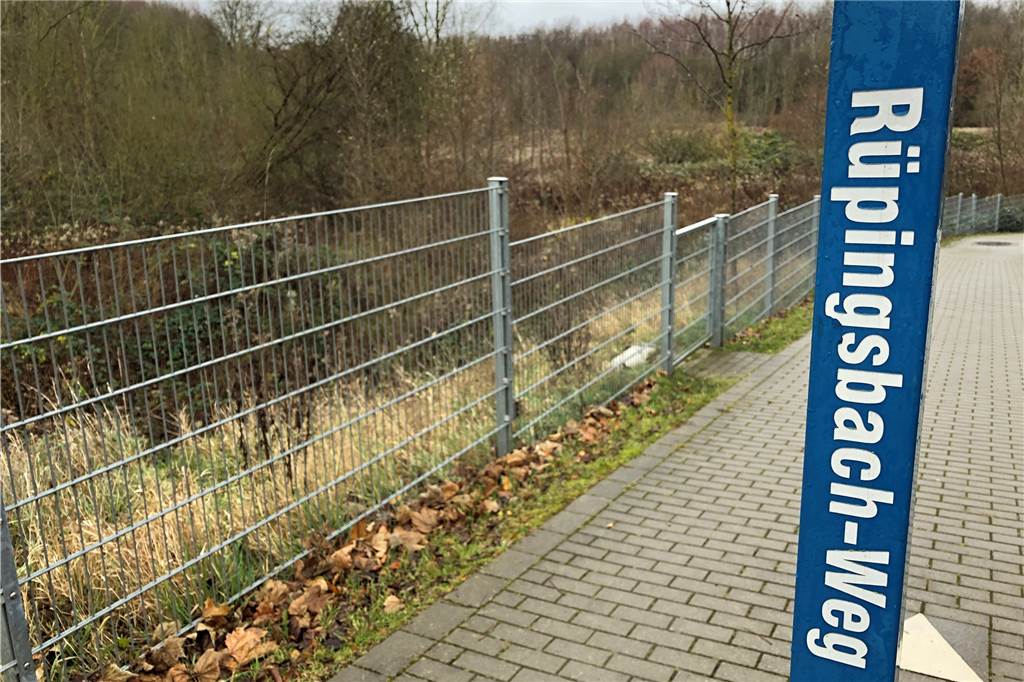 Der Weg entlang des Rüpingsbaches ist bei Spaziergängern beliebt.