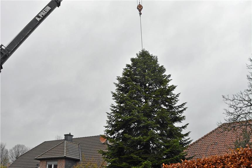 Was sich beim Olfener Adventsmarkt ändert Der Weihnachtsbaum hängt am Harken.