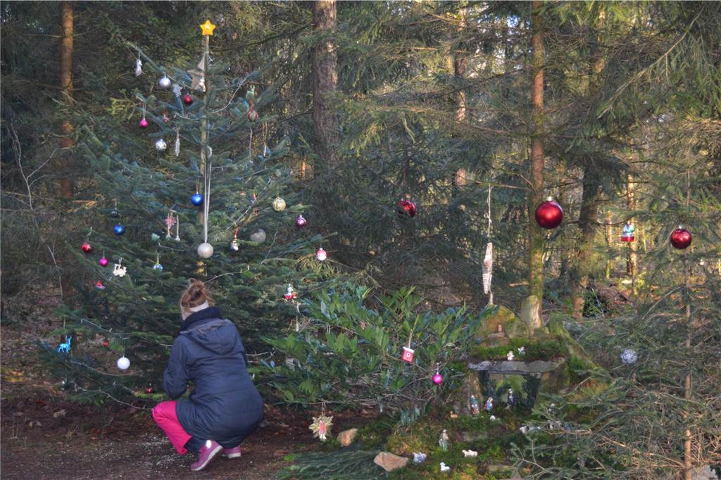 Geheime Mission: Waldwichtel sorgen für Weihnachtszauber in der Bröke Weihnachtszauber in der Bröke.
