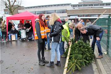 Der Weihnachtsbaumverkauf an der Gesamtschule hat immer großen Anklang gefunden.