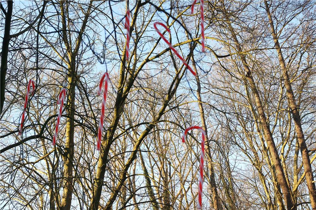 Der Weihnachtsmarkt auf dem Gelände der Freilichtbühne Werne besticht durch gemütliche und stimmungsvolle Atmosphäre sowie das große Engagement der Helferinnen und Helfer. Die gute Laune strahlt auf die Besucherinnen und Besucher ab.