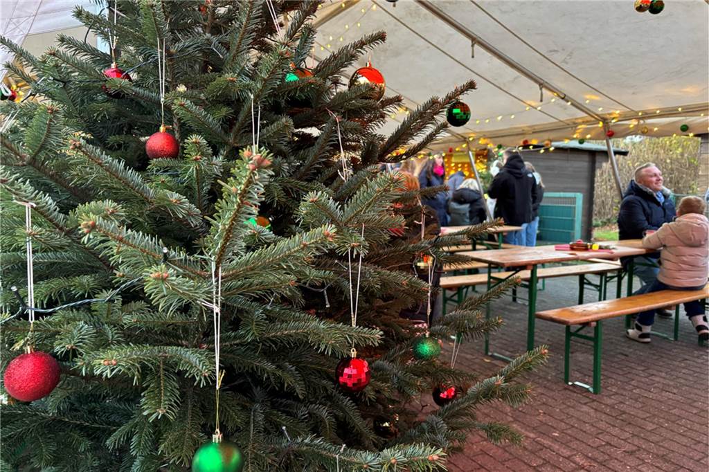 Weihnachtsbaum 