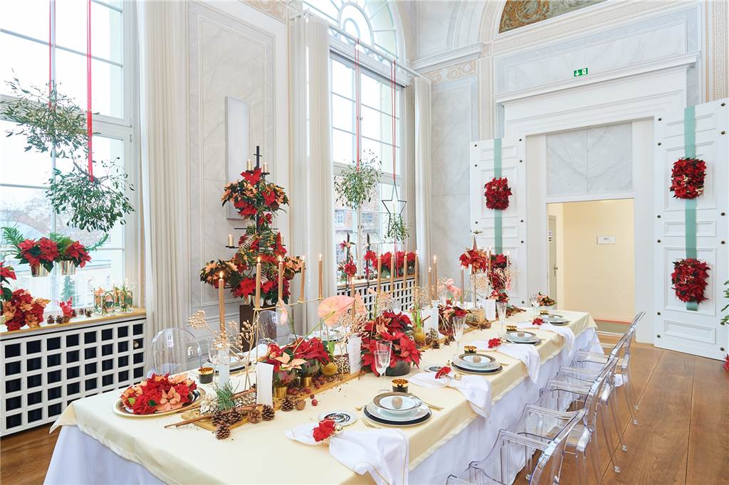Halterns Star-Florist zum Weihnachtsstern: „Nicht nur was für die Oma“ Der Weihnachtsstern eignet sich für die Dekoration der großen Weihnachtstafel.