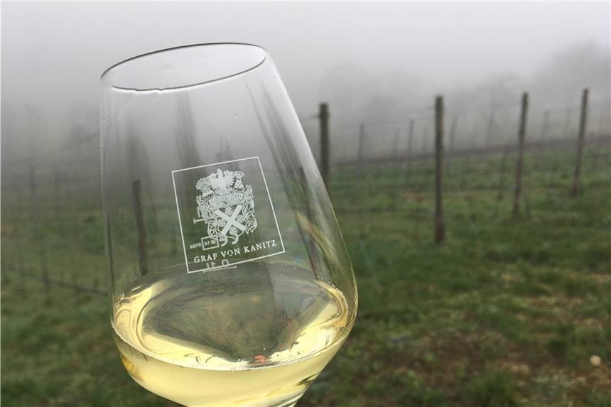 Wein aus Cappenberg: Erste Verkostung des aktuellen Jahrgangs Der Wein aus Cappenberg wird voraussichtlich im Mai in Flaschen gefüllt.