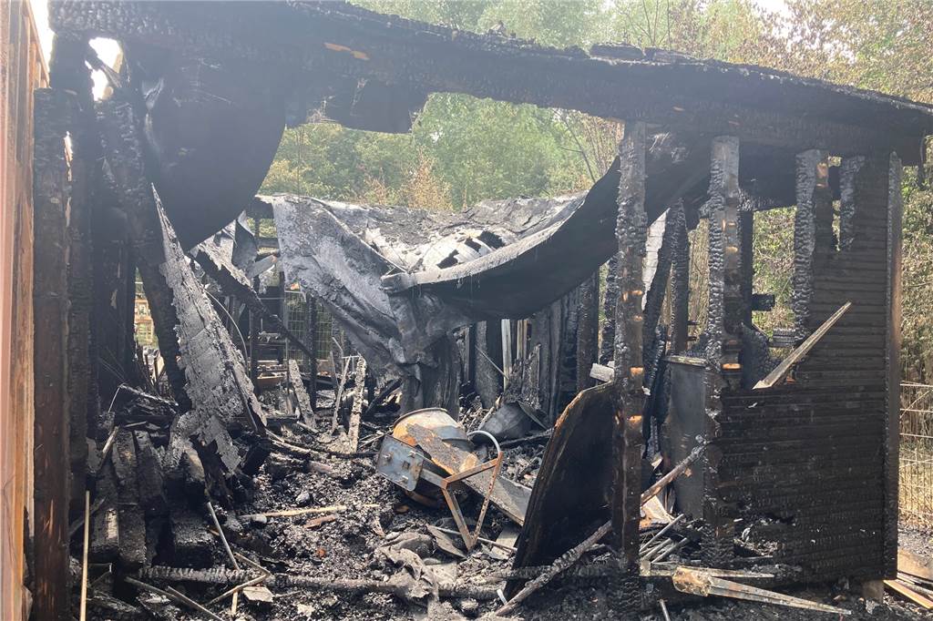 Tiere mit Farbe besprüht, Feuer gelegt: „Seltsame Form von Lokalpatriotismus“ Der Werkzeugschuppen wurde durch das Feuer komplett zerstört.