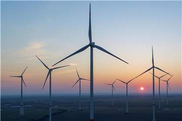 Der Windpark „Odervorland“ im brandenburgischen Jacobsdorf. Nach erfolgreichen Jahren verspüren die deutschen Anlagenbauer und Projektentwickler keinen Rückenwind mehr aus Berlin. Foto: Patrick Pleul