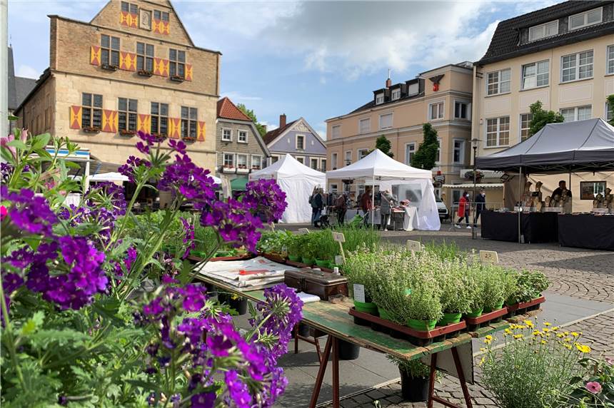 Schöne Fotos: Impressionen vom Wochenmarkt in Werne Der Wochenmarkt in Werne vor dem historischen Rathaus ist immer einen Besuch wert.