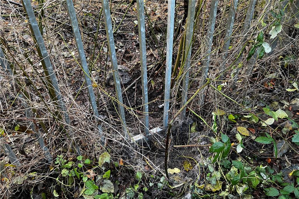 Zaun wird zur Todesfalle für Rehe: Anwohner fordern Maßnahmen Zaun der Firma Rain Carbon