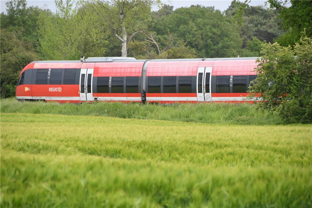 Notarzteinsatz an Gleisen in Selm: Bahnstrecke derzeit gesperrt Der Zug musste auf freier Strecke stoppen.