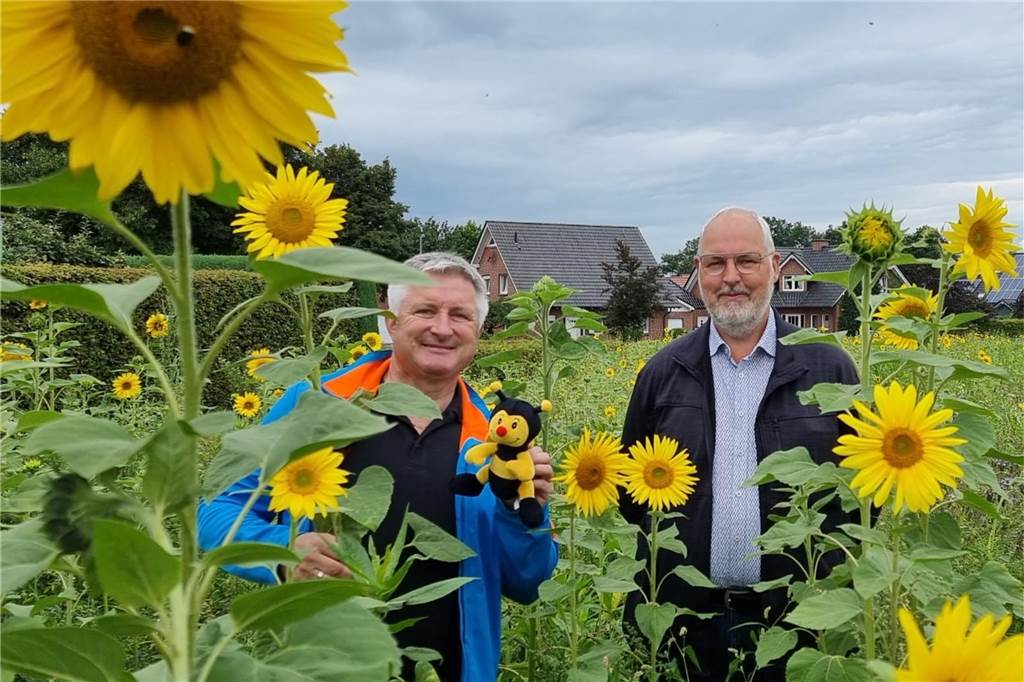 Neuer Name und neue Leitung für die Heeker Dorfimkerei Herbert Moritz und Detlef Bauerdick stehen in einem Sonnenblumenfeld. Herbert Moritz hält eine Plüschbiene in der Hand.