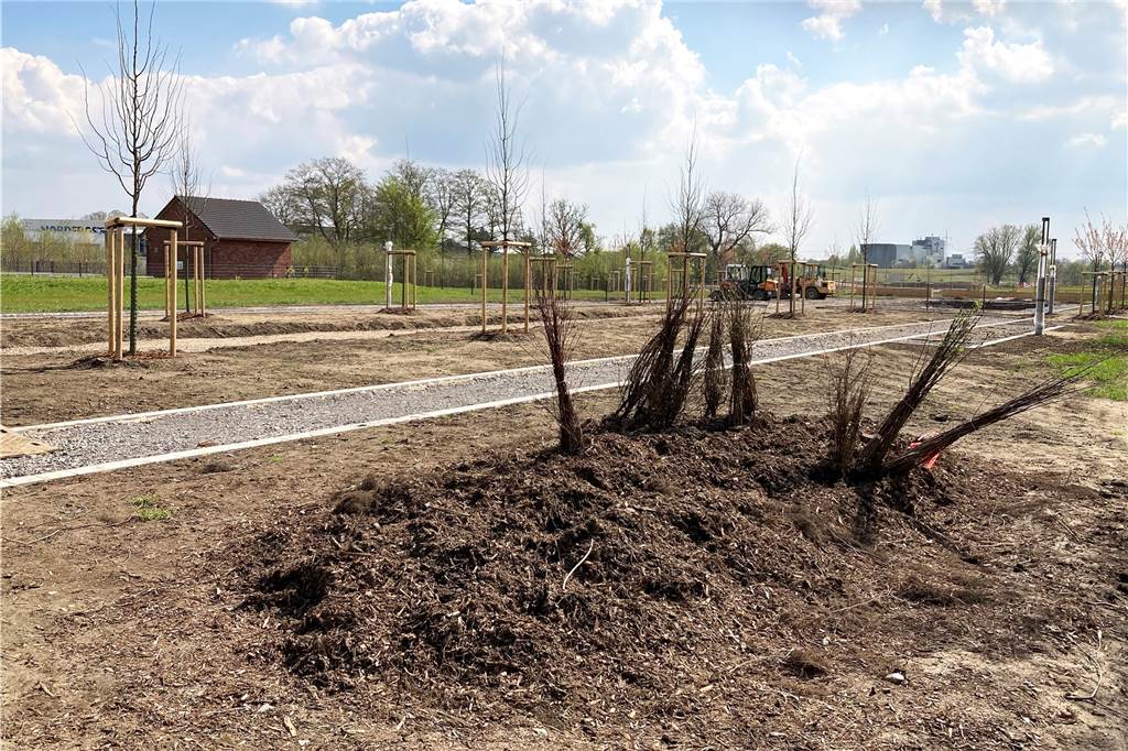 Emscherland geht in die Verlängerung – Fertigstellung erst 2023 Recklinghausen: Im Natur- und Wasser-Erlebnis-Park gibt es schon Wege und Pflanzungen