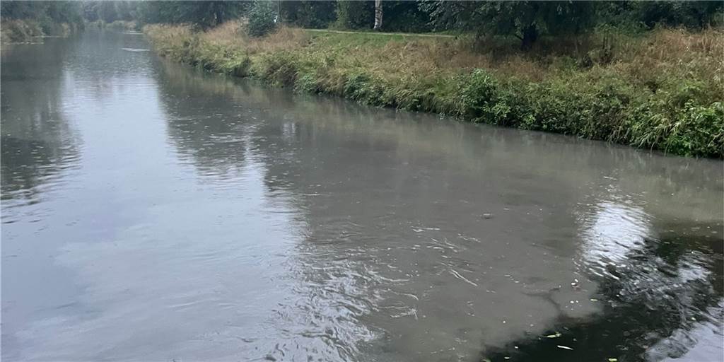Verunreinigung der Berkel in Vreden: „Das Ärgerliche ist: Es ändert sich nichts daran“ Deutlich zu erkennen ist auf diesem Foto die Verunreinigung des Wassers.
