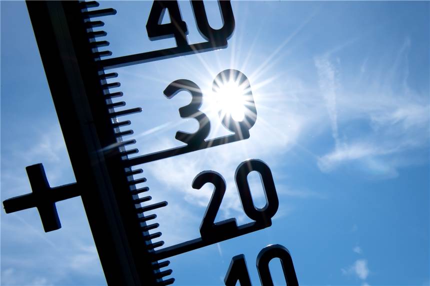 Hitzerekordwerte am Wochenende: In NRW werden bis zu 38 Grad erwartet Deutschland steht ein Wochenende mit Hitzerekordwerten bevor.