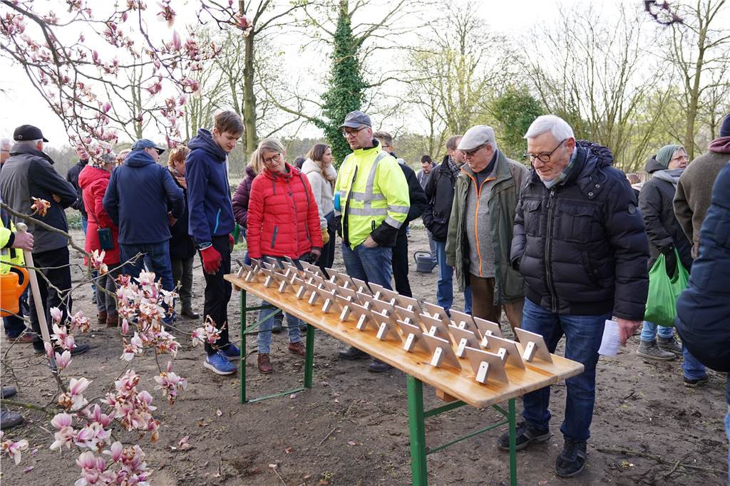 Der Baum als Zeuge: Viele Menschen bei Pflanzaktion des Heimatvereins Dichtes Gedränge herrschte an dem Tisch auf dem die Schilder der Familien aufgereiht waren.
