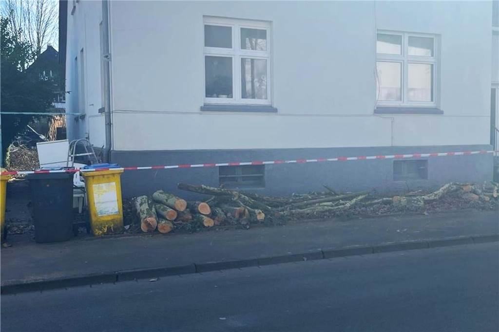 Bauträger fällen ohne Genehmigung alte Platanen in der Hansemannsiedlung Holzäste vor dem Haus in der Marschallstraße.