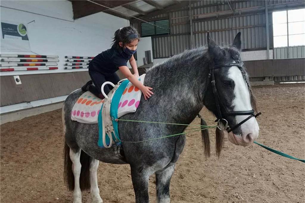 Förderprogramm rettet ZRFV Kirchhellen vor Schließung Die 5-jährige Emily nimmt zunächst vorsichtig Tuchfühlung mit Duke auf.