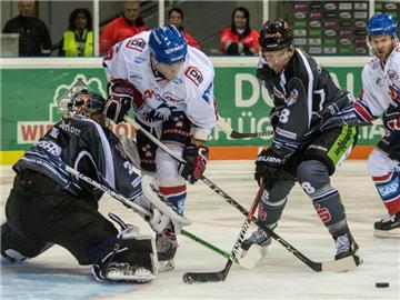 Die Adler Mannheim verloren bei den Straubing Tigers mit 2:3. Foto: Armin Weigel