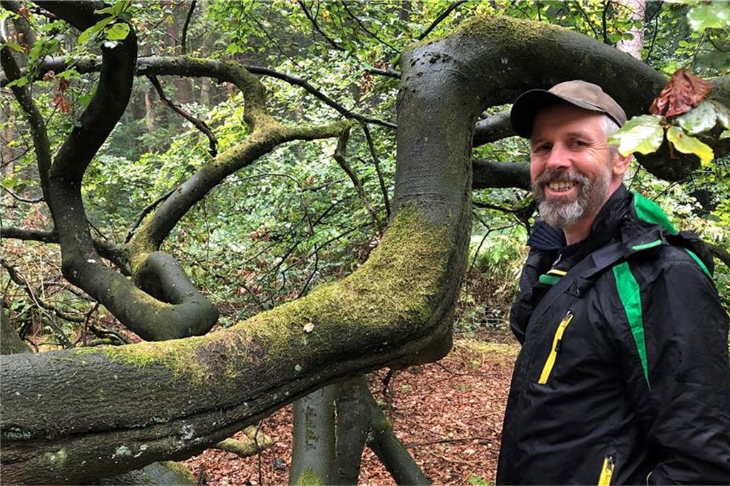 Hier wird der Oster-Spaziergang im Kreis Recklinghausen zum Hit Die ältesten Hexenbuchen in der Hohen Mark werden auf 150 Jahre geschätzt. Ihr eigenwilliger Wuchs hat seit jeher die Menschen fasziniert. Hermann Bergjürgen kennt ihre Geschichte.