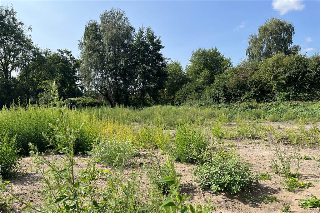 Ehemaliger Lost Place in Selm: So sieht die alte Molkerei von innen aus Die alte Molkerei in Selm wird aktuell entkernt. Mit-Eigentümer Sascha Oestermann führt durch das Gebäude.