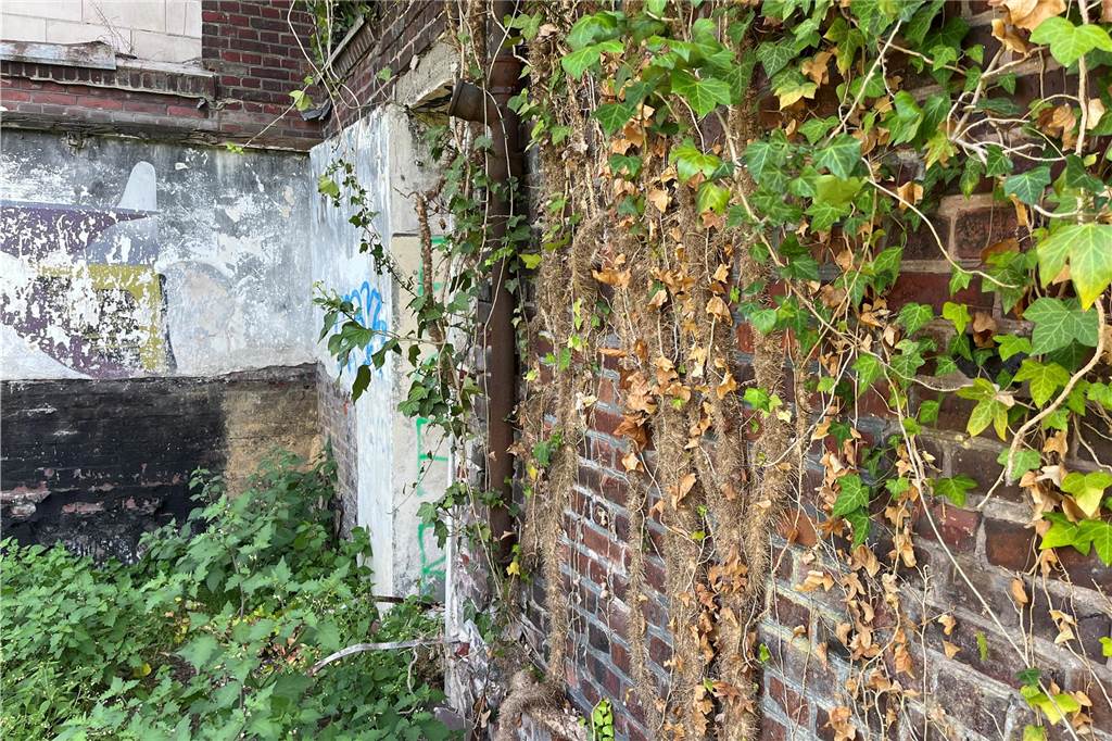 Ehemaliger Lost Place in Selm: So sieht die alte Molkerei von innen aus Die alte Molkerei in Selm wird aktuell entkernt. Mit-Eigentümer Sascha Oestermann führt durch das Gebäude.