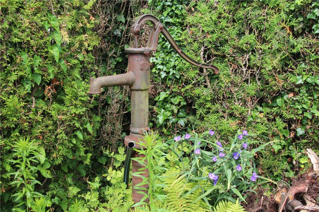 Gartenserie: Bei den Nowaks in Selm wird der Garten zum Heimathafen Die alte Schwengelpumpe in einer Ecke des Gartens ist lediglich Zierde.