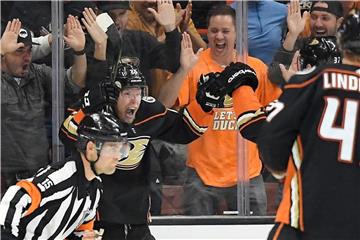 Die Anaheim Ducks besiegten die Minnesota Wild mit 3:1. Foto: Mark J. Terrill/AP