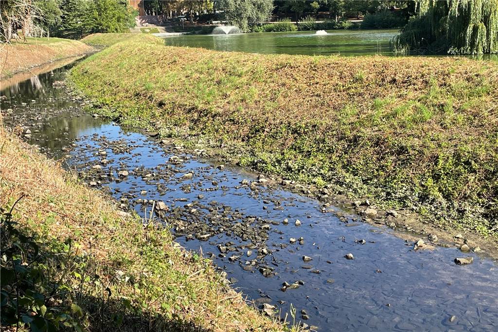 Rinnsal statt Fluss: Hitze setzt der Horne in Werne extrem zu Ein ausgetrockneter Fluss