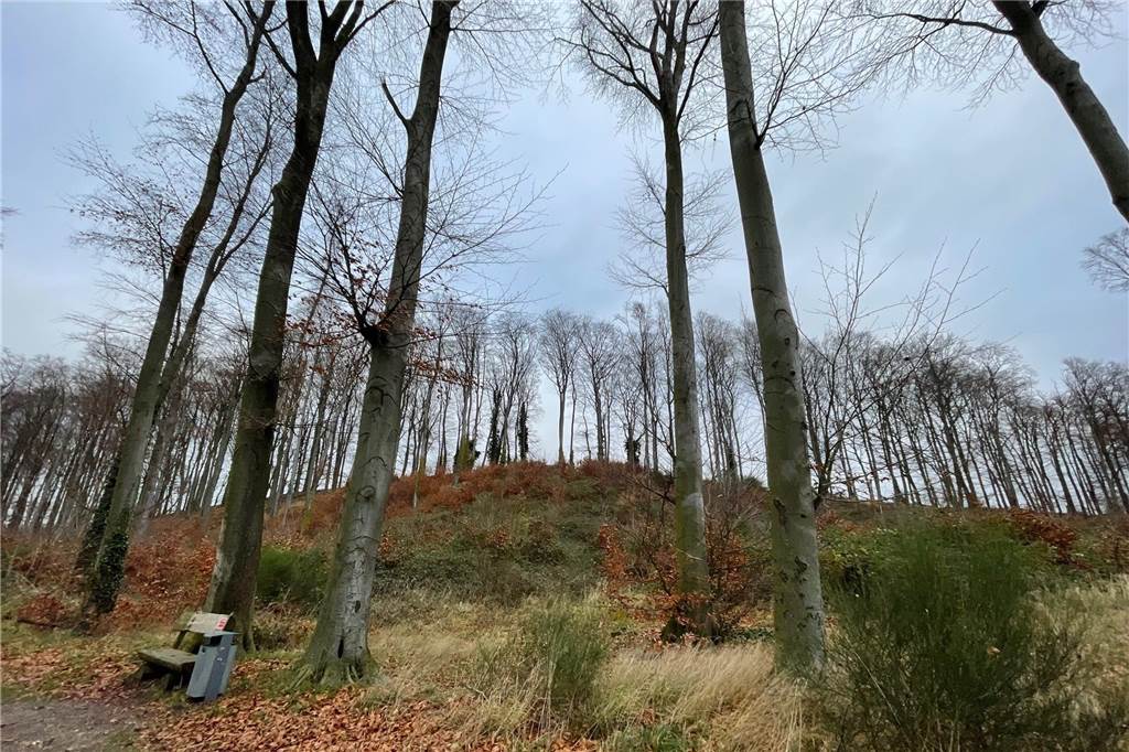Die Anhöhe, in deren Boden ein Römerlager liegt schräg hinter der ehemaligen Rauschenburg. Auch die antiken Römer wussten die Furt schon zu nutzen. 