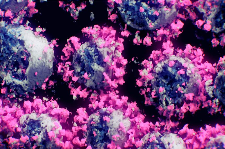 Warum sind sie so gefürchtet? Was die Virus-Mutationen für die Pandemie bedeuten Die Aufnahme von Forschern des TU Wien-Spin-off Nanographics zeigt Coronaviren.