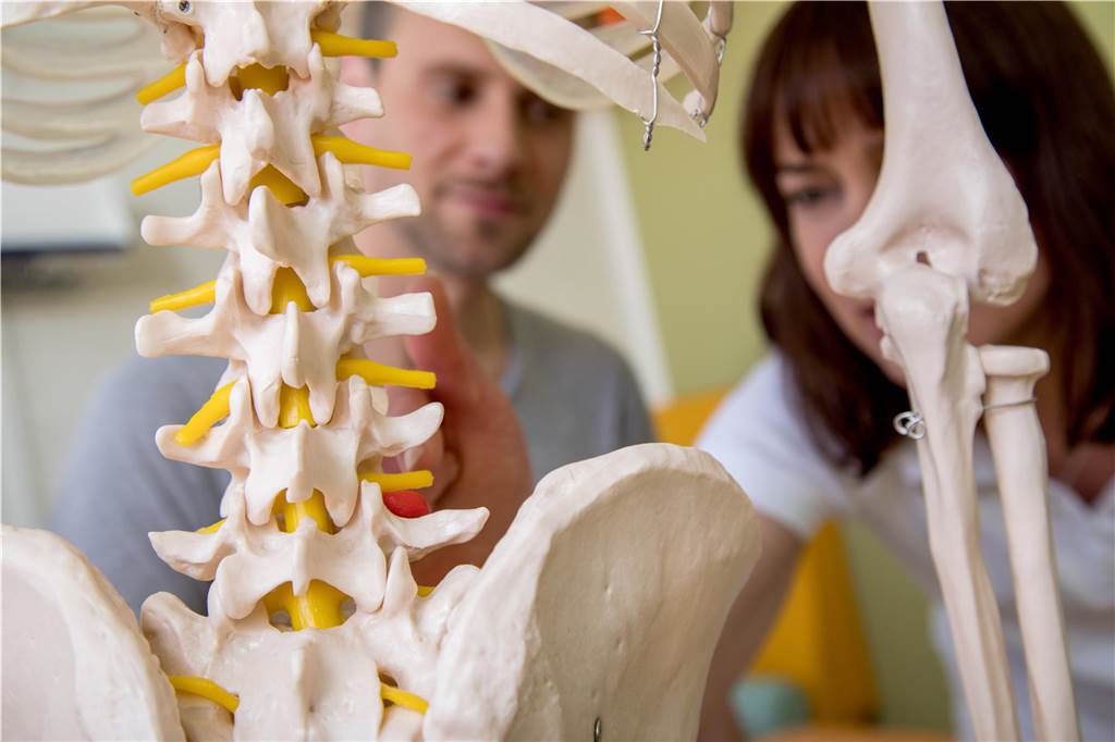 Lange Wartezeiten für Physiotherapie: „Haben einen Personalnotstand“ Physiotherapeuten an einem Skelett-Modell.