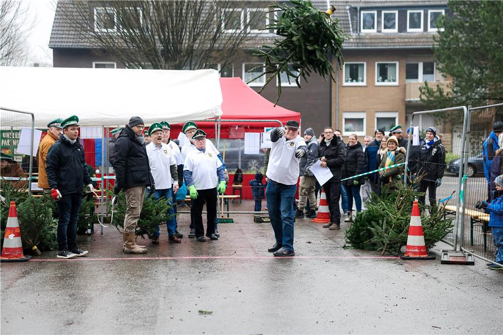 Die Bäume wurden weit und manchmal auch hoch geworfen.