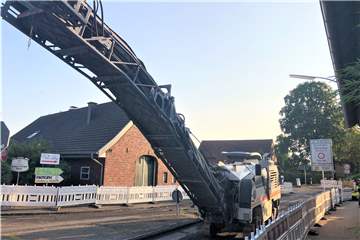 Die Bauarbeiten auf der Marienthaler Straße waren nicht der Grund für zwei Baumfällungen.