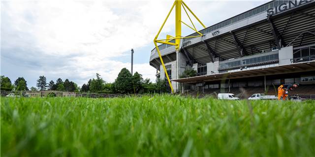 BVB-U23: Sanierung der Roten Erde wird teurer – Zeitplan steht fest