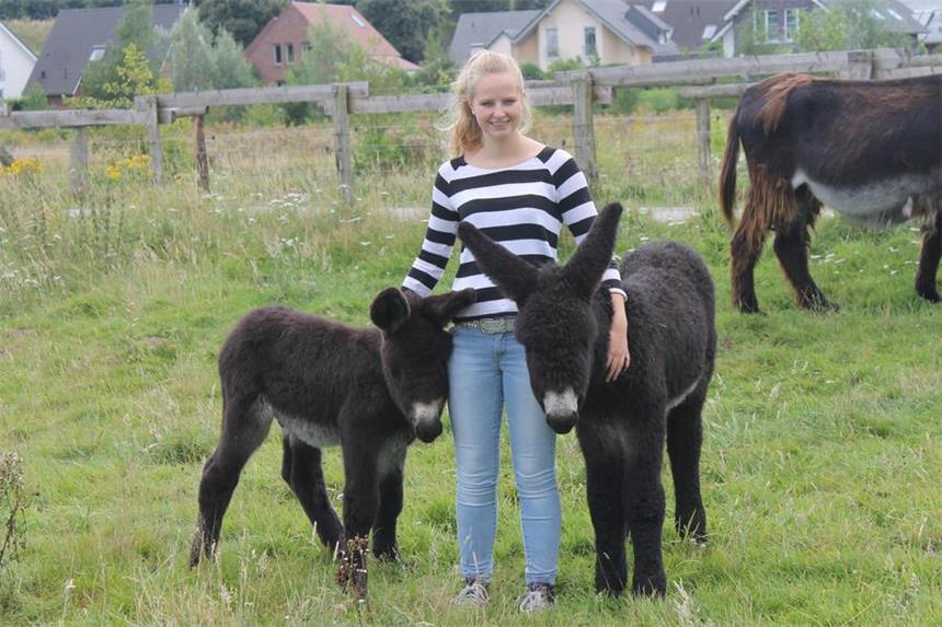 Diese Namen tragen Olfens jüngste Esel-Fohlen Die beiden Eselfohlen Gismo und Gustav (v.l) entwickeln sich gut.