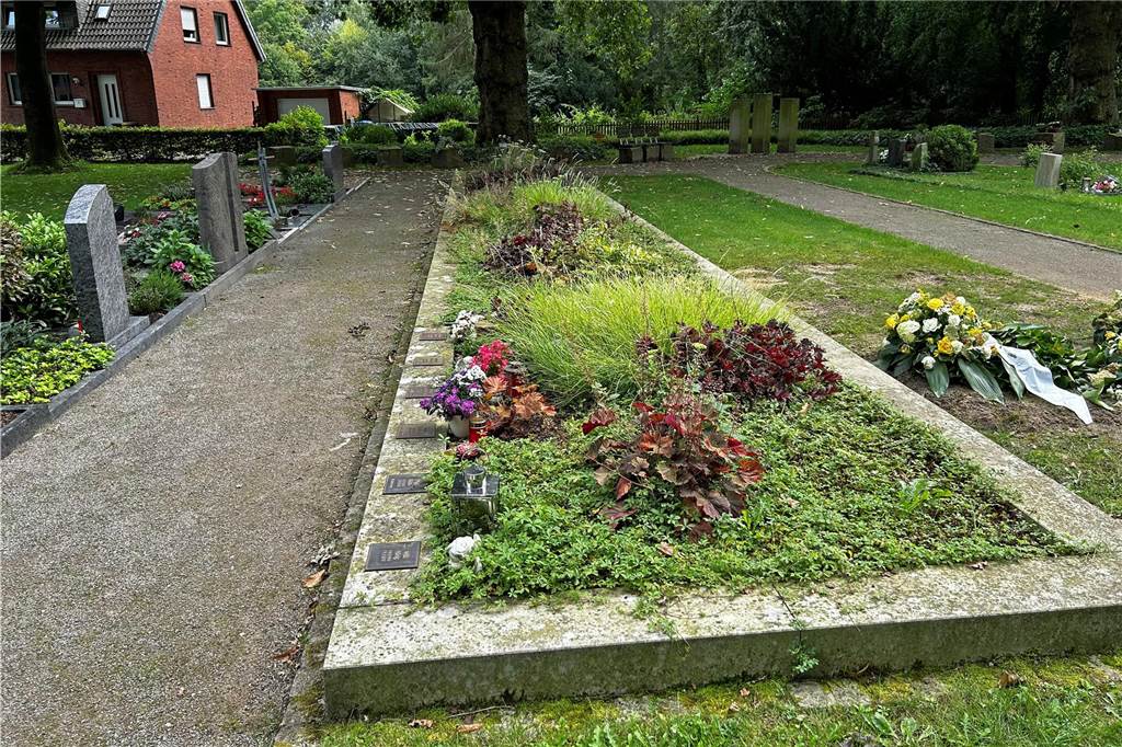 Grabpflege ist Sache der Angehörigen: Beschwerde über Stockumer Friedhof Die Bepflanzung am neuen Urnenfeld wächst, ja. Aber Unkraut ist das eher nicht.