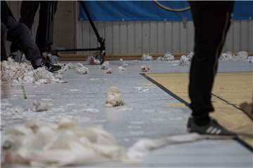 Die besten Bilder aus der Halle Wellinghofen