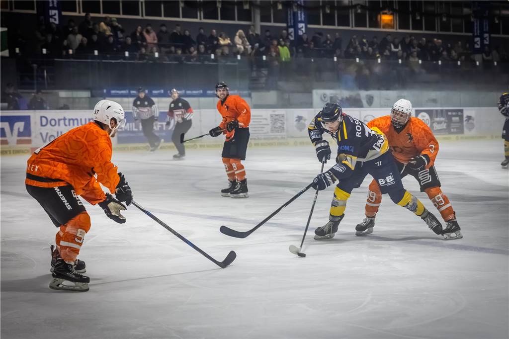 Die besten Bilder des 15:3-Eisadler-Erfolgs gegen die Disnlakener Kobras. 
