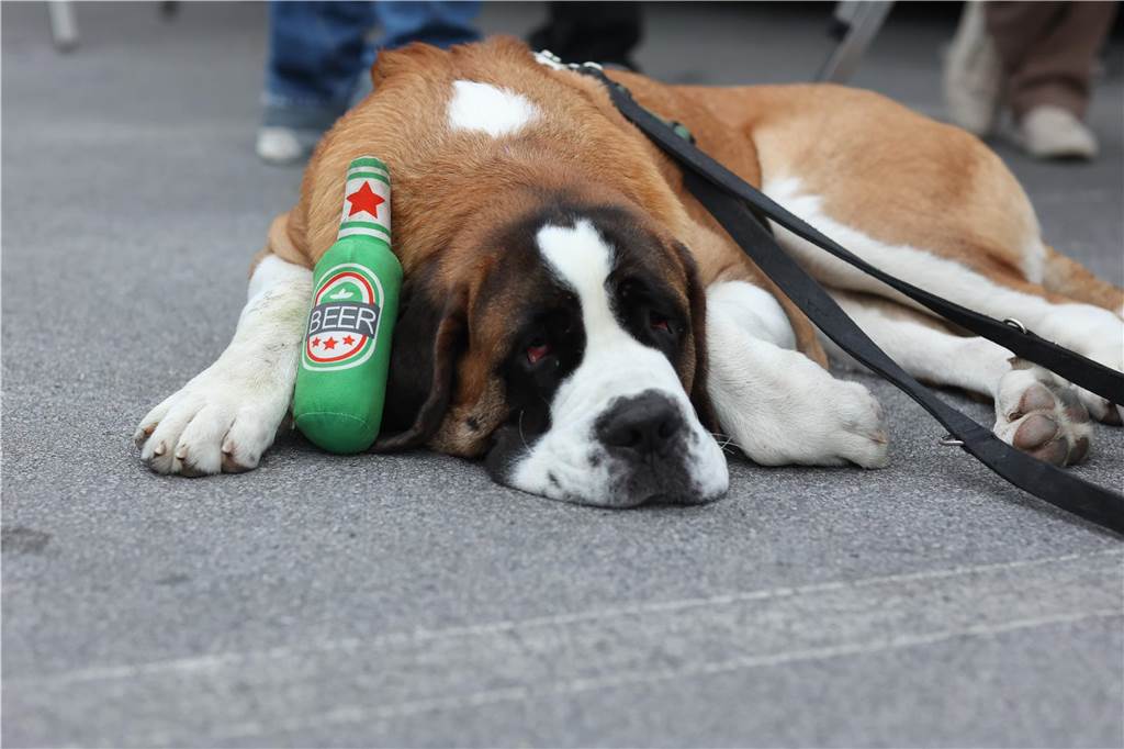 Die besten Bilder vom Brunnenfest-Freitag 2024 in Lünen.